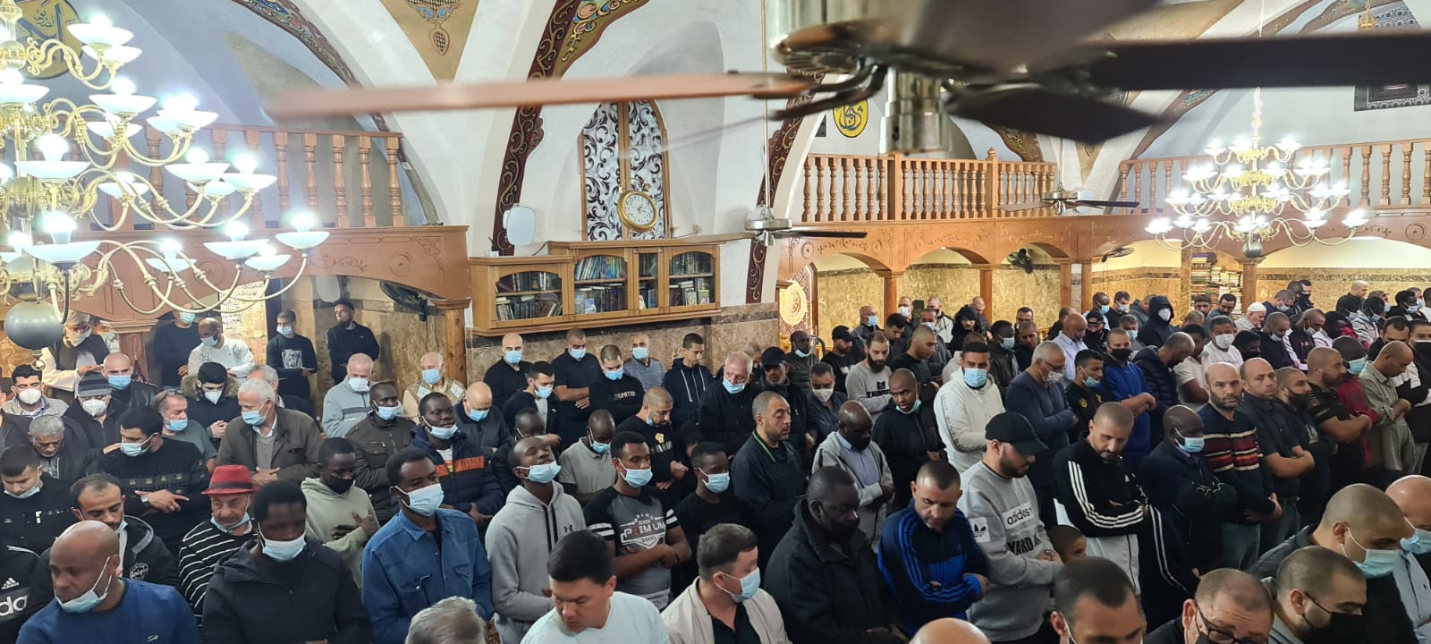 WhatsApp Image 2020-11-27 at 12.19.28 PM (2).jpeg.jpeg